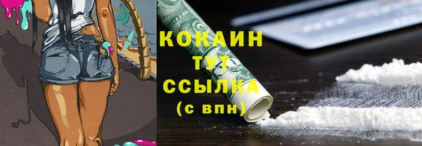 дживик Алзамай