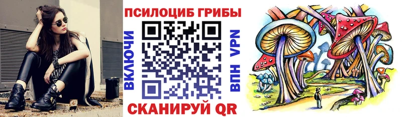 как найти закладки  Мышкин  Галлюциногенные грибы Psilocybe 