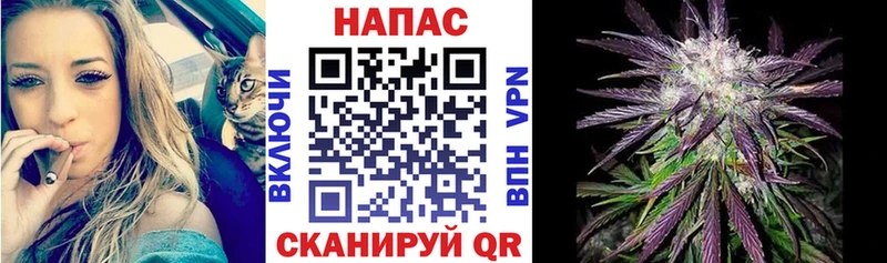 Каннабис семена  Мышкин 